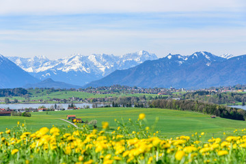 Am Riegsee im oberbayrischen Alpenvorland - Blick in die schneebedeckten bayrischen Alpen