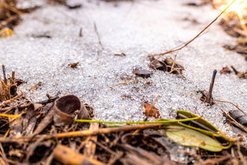 Detail of the ground of the field covered with ice after a snowfall, winter natural background.