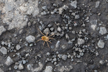 Färöer - Inseln im Nordatalntik