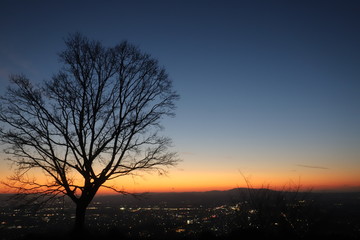 Fototapeta na wymiar 若草山からの夕日