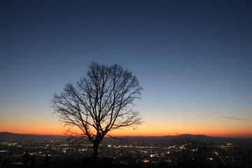若草山からの夕日