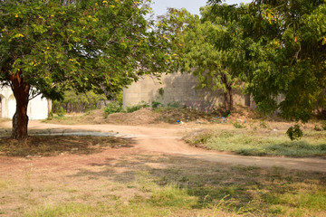 Obraz premium Forest path landscape. Forest dirty road view. Forrest pathway landscape. Forest path landscape