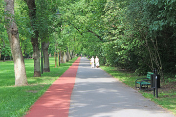 Obraz premium Summer park with pathway and treadmill between green trees