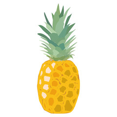 Pineapple fruit. Stock vector illustration isolated on white.