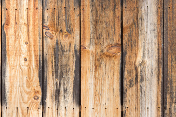 A close up of aged barn wood nailed on a wall. Suitable for a background with space for copy.