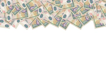 1000 Sri Lankan rupees money bill colored banknote