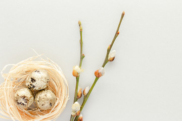 Top view easter composition. Easter eggs willow catkin creative flat lay background with copy space for your text.
