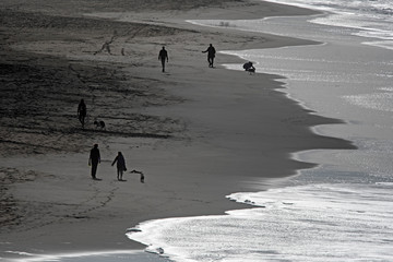 beach view from Cliff House, San Francisco