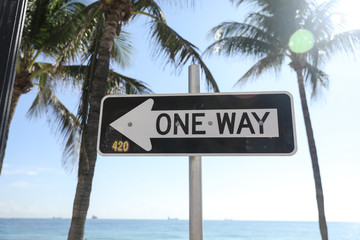One Way sign with Palm Trees in Florida