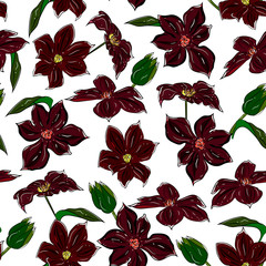 Elegant floral seamless pattern. Hand drawing, vintage background with  burgundy, red clematis flower, sketch. For textiles, packaging, wrapper, fabric, wallpaper