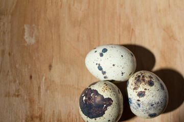 quail eggs on a light tree blue background, close up, copy space