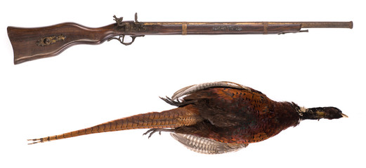 ancient gun and dead pheasant - hunter trophy isolated on white background