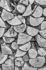 Background of fresh cut timber in black and white