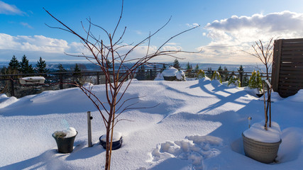 Fototapety na wymiar - Fototapeta24.pl