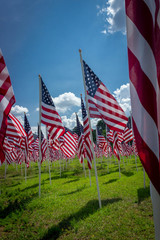 Rows of the national flag of the United States of America are on display in a green field.