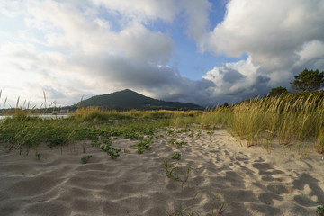 Photography of the sandy dunes near Atlantic ocean in daytime in Northern Portugal. The beauty of nature and ecological tourism concepts.