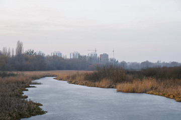 Obraz premium Frozen pond and swamp. Development of the city on the lands of wildlife. New buildings on the horizon in Lutsk, Ukraine.