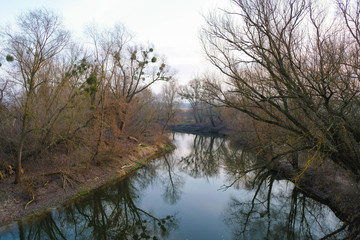 Styr river at sunset. Reflection of trees in water. Ukrainian nature.