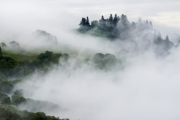 View of fog over mountain in Redwood National and State Park
