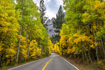 View of empty road passing through forest during autumn