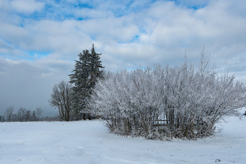 Mostviertel in winter