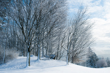 Mostviertel in winter