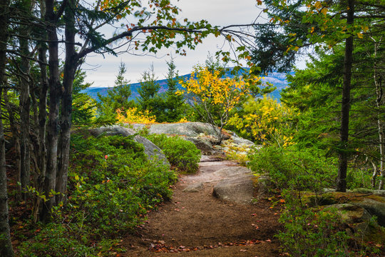 Weathered Granite and Scenic View, Beech Mountain Trail in Acadia National Park, Mount Desert Island, Maine