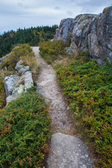 Fototapeta na wymiar Weathered Granite and Scenic View, Beech Mountain Trail in Acadia National Park, Mount Desert Island, Maine