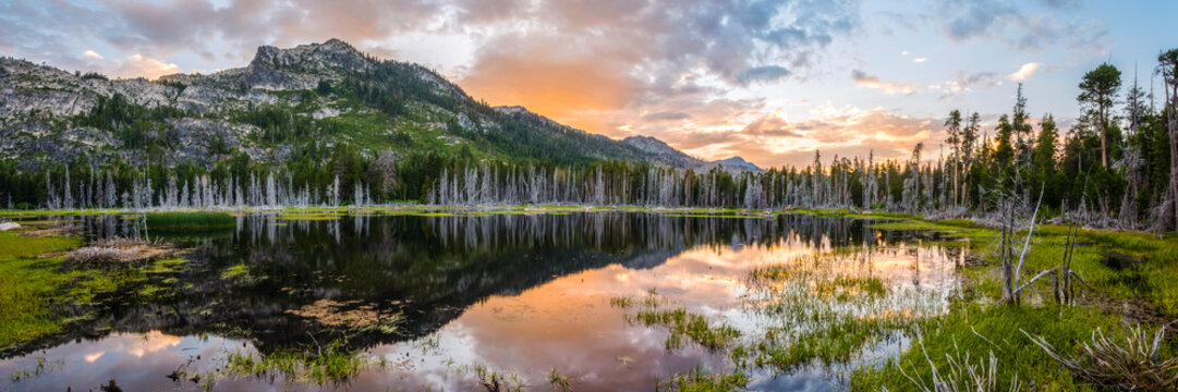 A panoramic image of a beautiful sunset and a section of the Sierra Crest (Flagpole Peak, Echo Peak and Mount Tallac) reflecting in an alpine swamp near South Lake Tahoe, California.