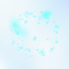 Turquoise flower petals falling down. Appealing ro