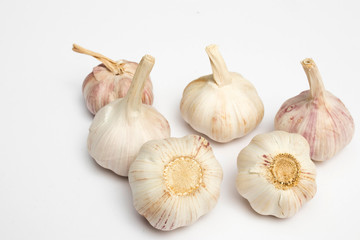 the Garlic isolated on plain white background