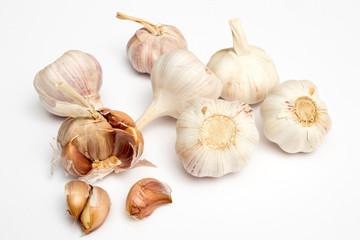 the Garlic isolated on plain white background
