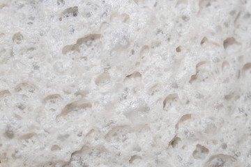 Dust Mite in Vacuum Cleaner Dust Water Container