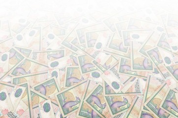 1000 Sri Lankan rupees money bill colored banknote