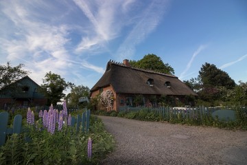traditional thatched house in a village