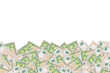 10 Sri Lankan rupees money bill colored banknote pattern