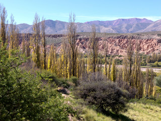 Quebrada de Humahuaca. The  Hill of the Seven Colours shows its colourful face. The name of the town can be interpreted as the combination of Aymara language words purma (desert) and marca(city)
