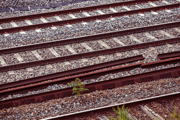 vias del tren