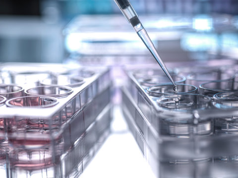 Close-up of sample being pipetted into microplate