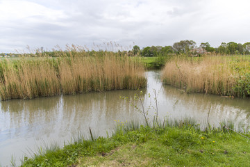 Fototapeta na wymiar Water canale in Rijnsburg, northen Netherland, peace and beauty