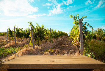 Nature background with vineyard in autumn harvest. Landscape of vineyards in Tuscany. Chianti...