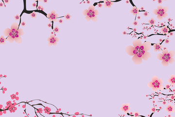 branch of pink sakura isolated on a  violet background 