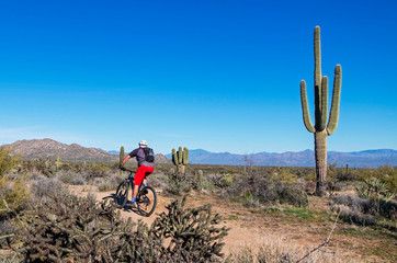 Mountain Biker on Desert Trail In Arizona With Cactus