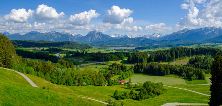 Germany, Swabia, Panorama of green alpine meadows in spring
