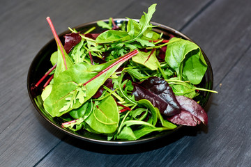 Mix of fresh different leaves of lettuce on a dark wooden background.