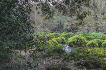 Background Images ,River and waterfall Tamul in San Luis Potosí, Mexico.
