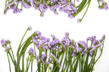 Obraz premium beautiful colorful fresh statice flower bouquet on the white background