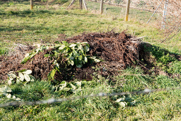 Garden waste on a compost heap in the garden