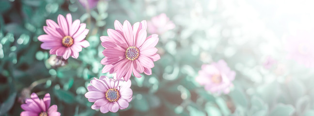Floral backdrop with pink flowers