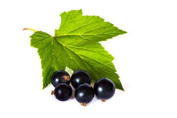 Branch of currants with fruits and leaves on a white isolated background_
